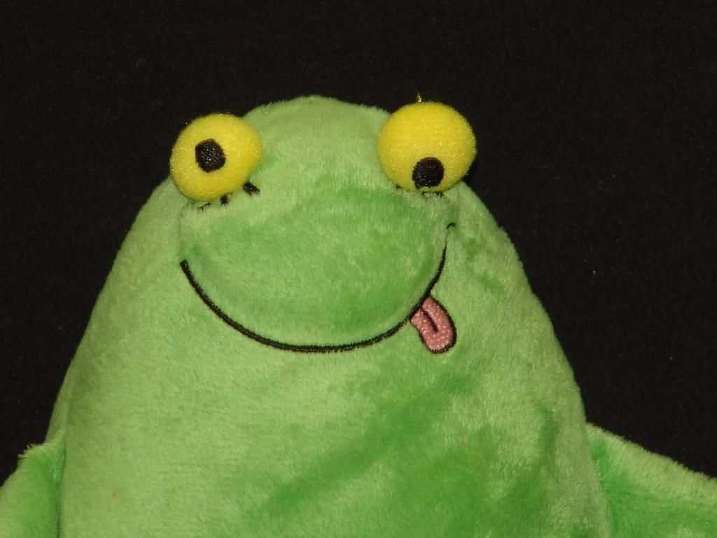 yottoy frog